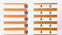 D型様タック　上下ライン入